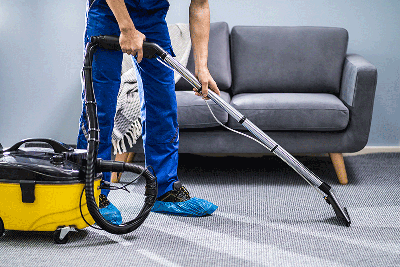 Carpet steam cleaning, upholstery cleaning